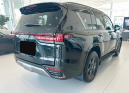 2025 LEXUS LX 700h